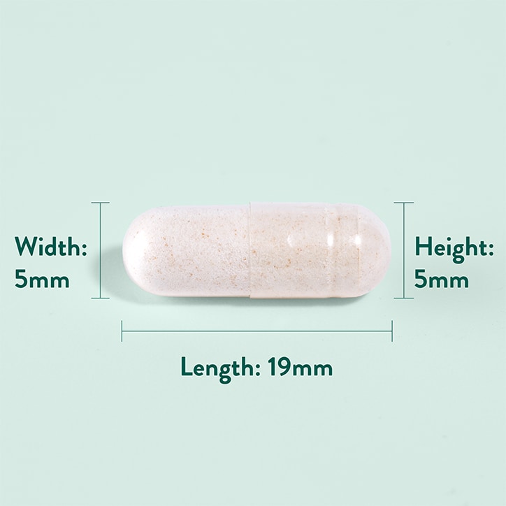 Holland & Barrett Ginger Root 240 Capsules